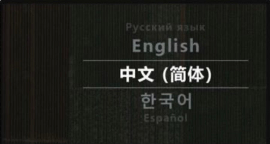 Multilingual interface