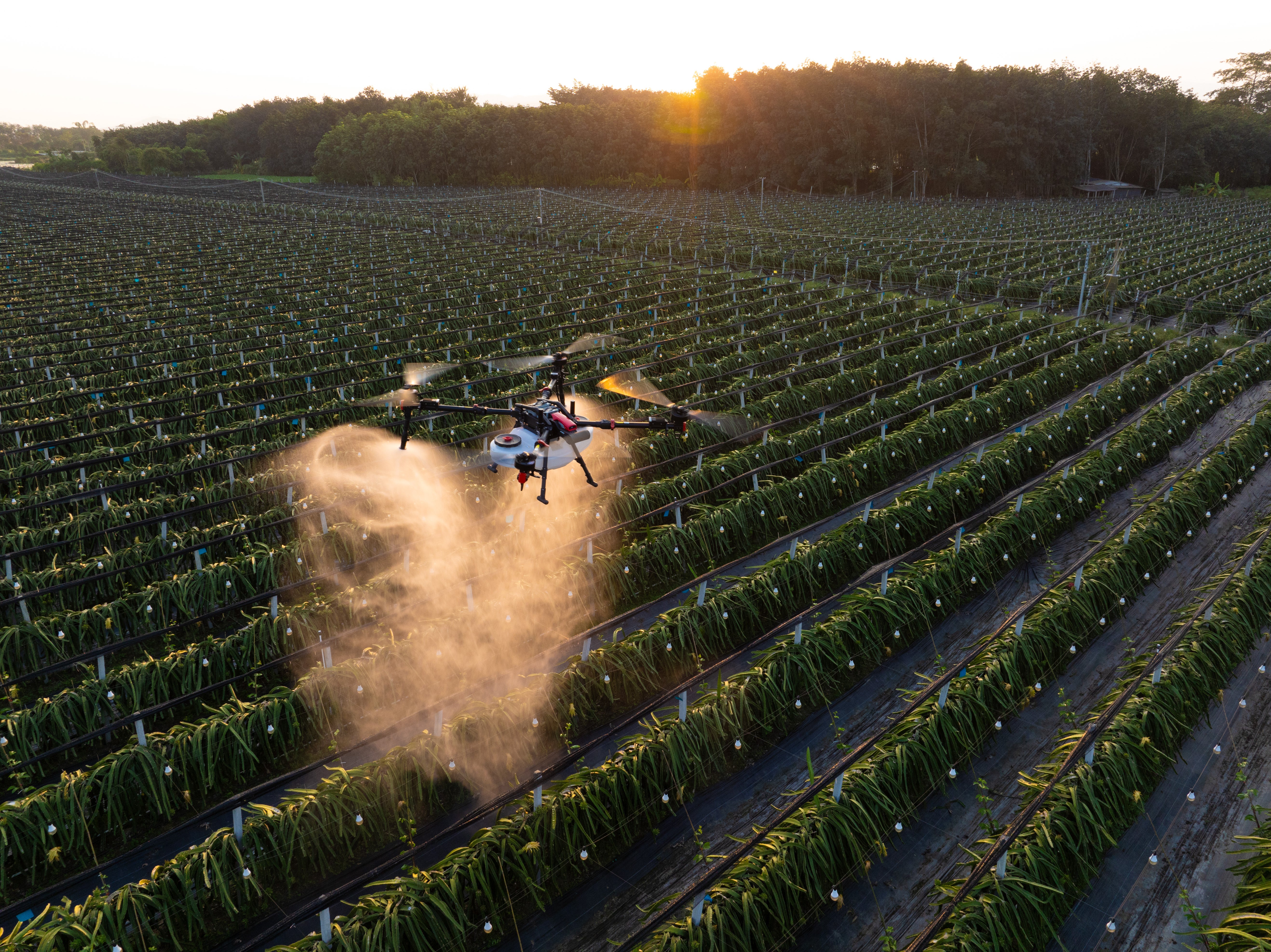 XAG P150 MAX (Drone Only)