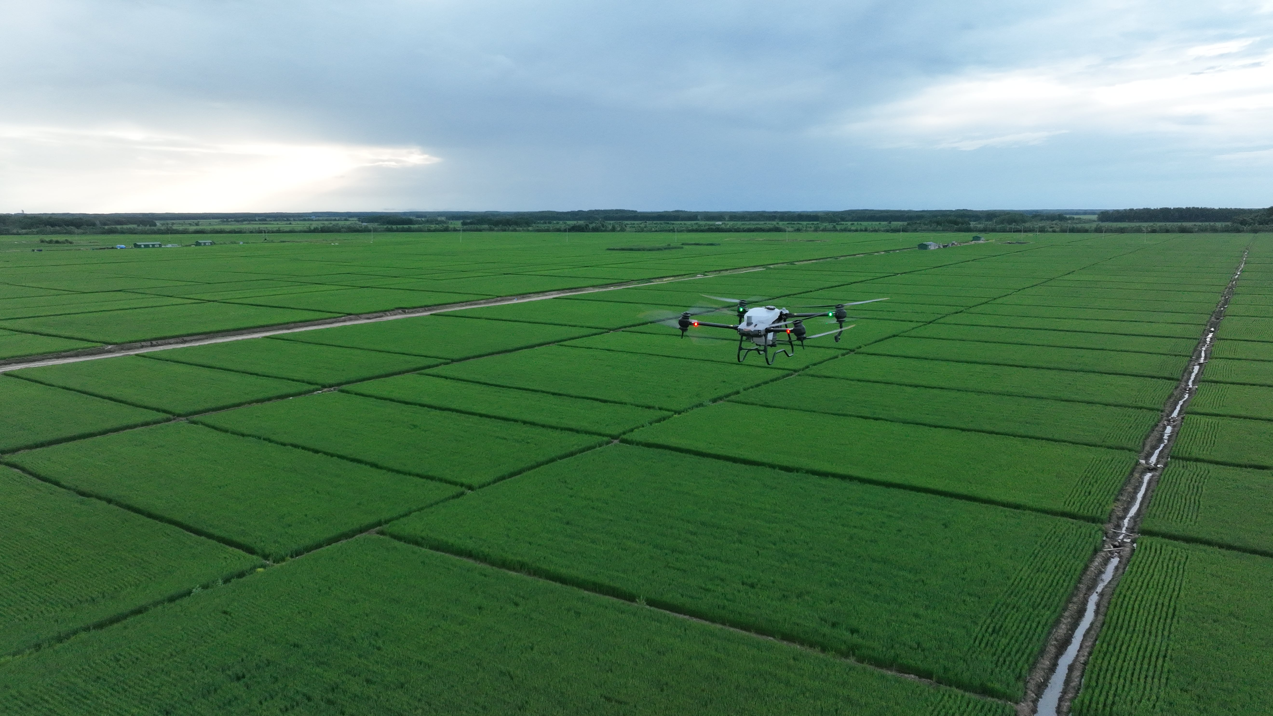Agricultural Spraying Drone DJI Agras T40 Spraying Drone (10.5gal / 40L)-Drone / UAV-DJI-HSE-UAV